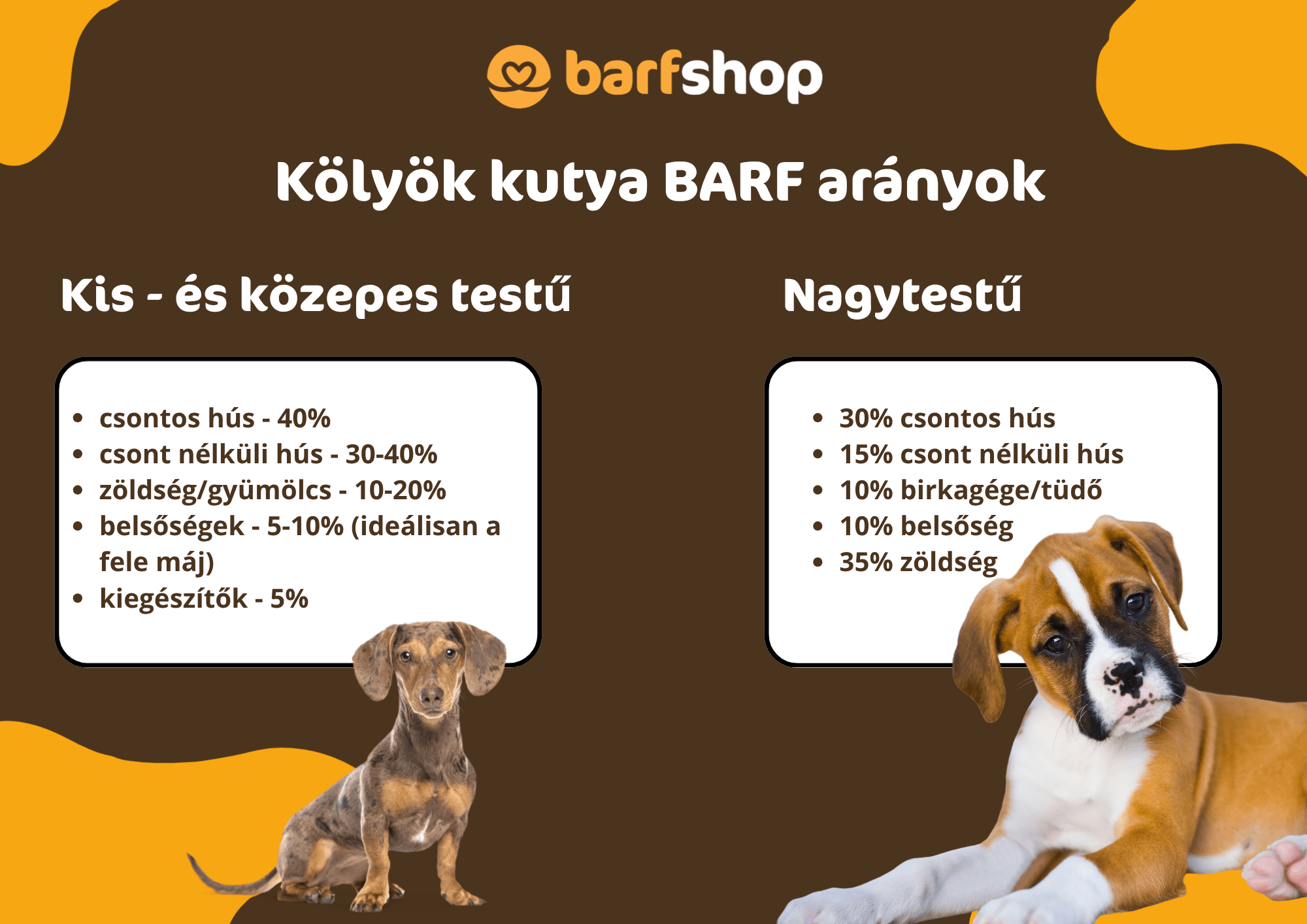 Kölyök kutya BARF arányok