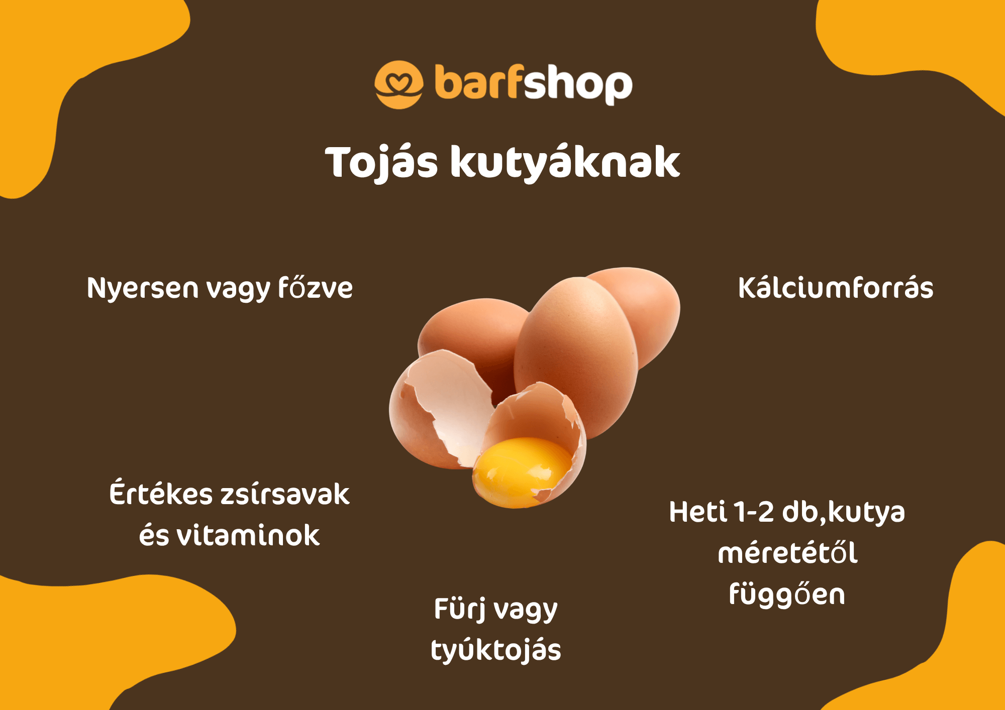 Tojás kutyáknak nyersen vagy főzve, értékes zsírsavakkal, vitaminokkal és kalciummal