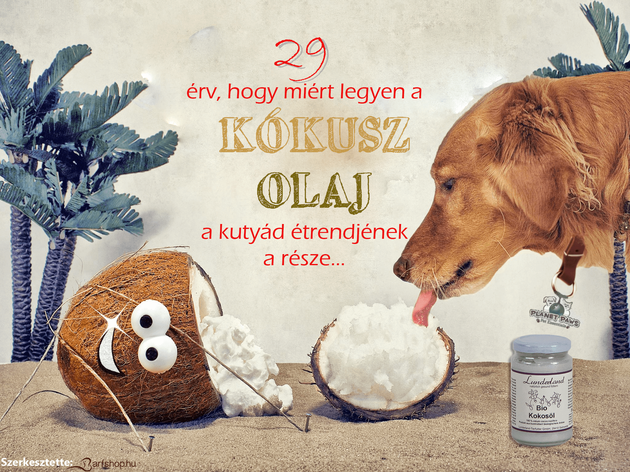 29 érv, hogy miért legyen a kókuszolaj a kutyád étrendjének a része