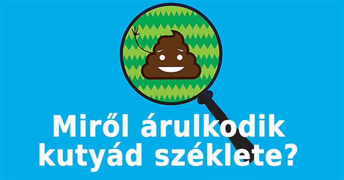 Miről árulkodik kutyád széklete