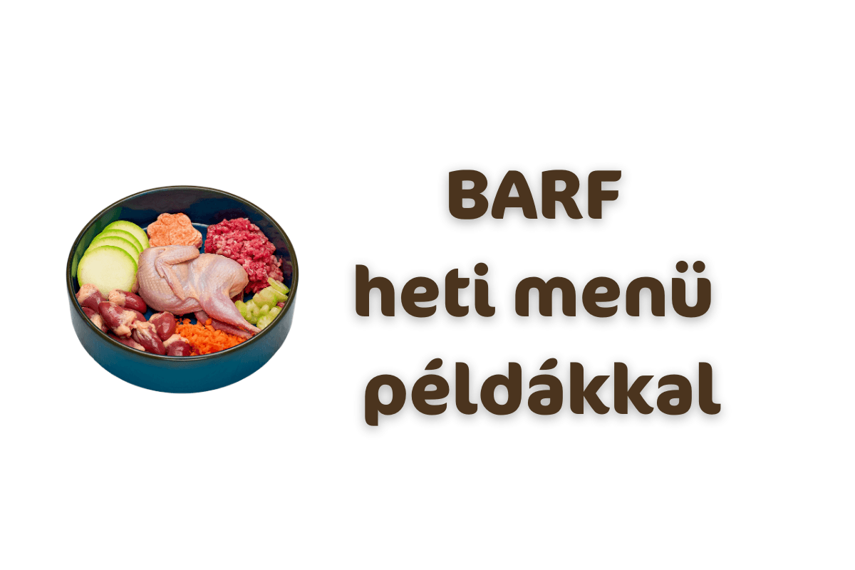 BARF heti menü ötletek kutyáknak
