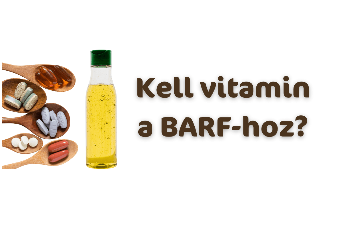 Vitaminok kutyáknak BARF etetés mellett