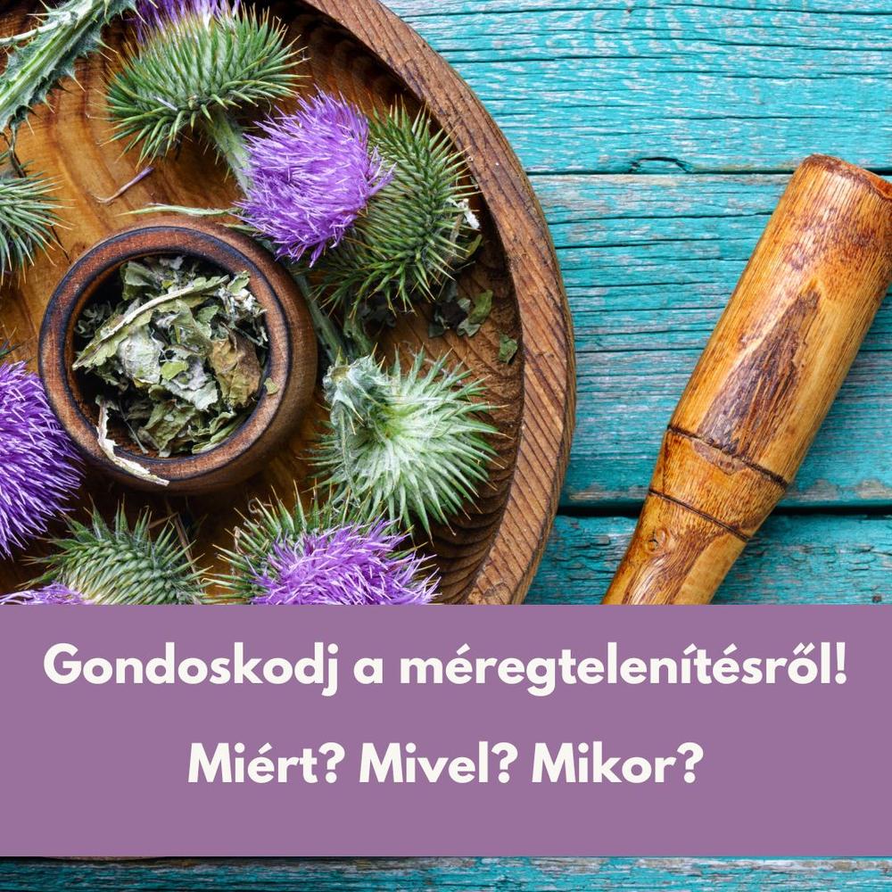 Mindent a méregtelenítésről - következetes Gazdiknak