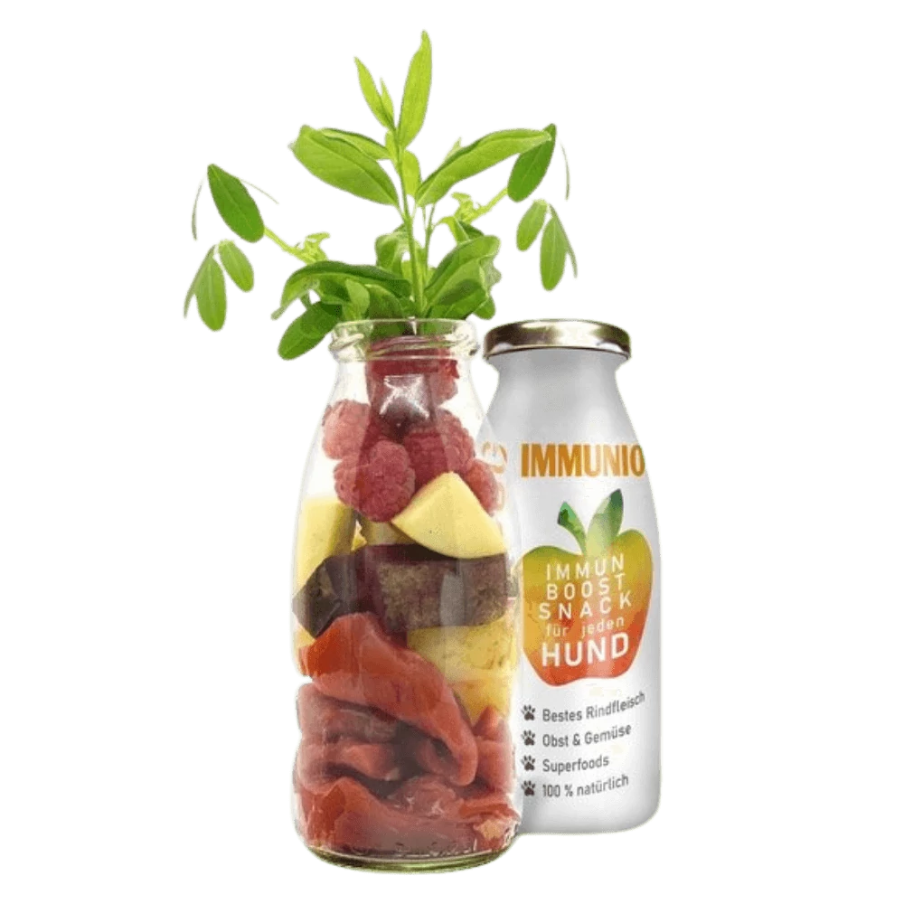 Immunerősítő smoothie kutyáknak (marhahússal) 250 ml, SmoothieDog