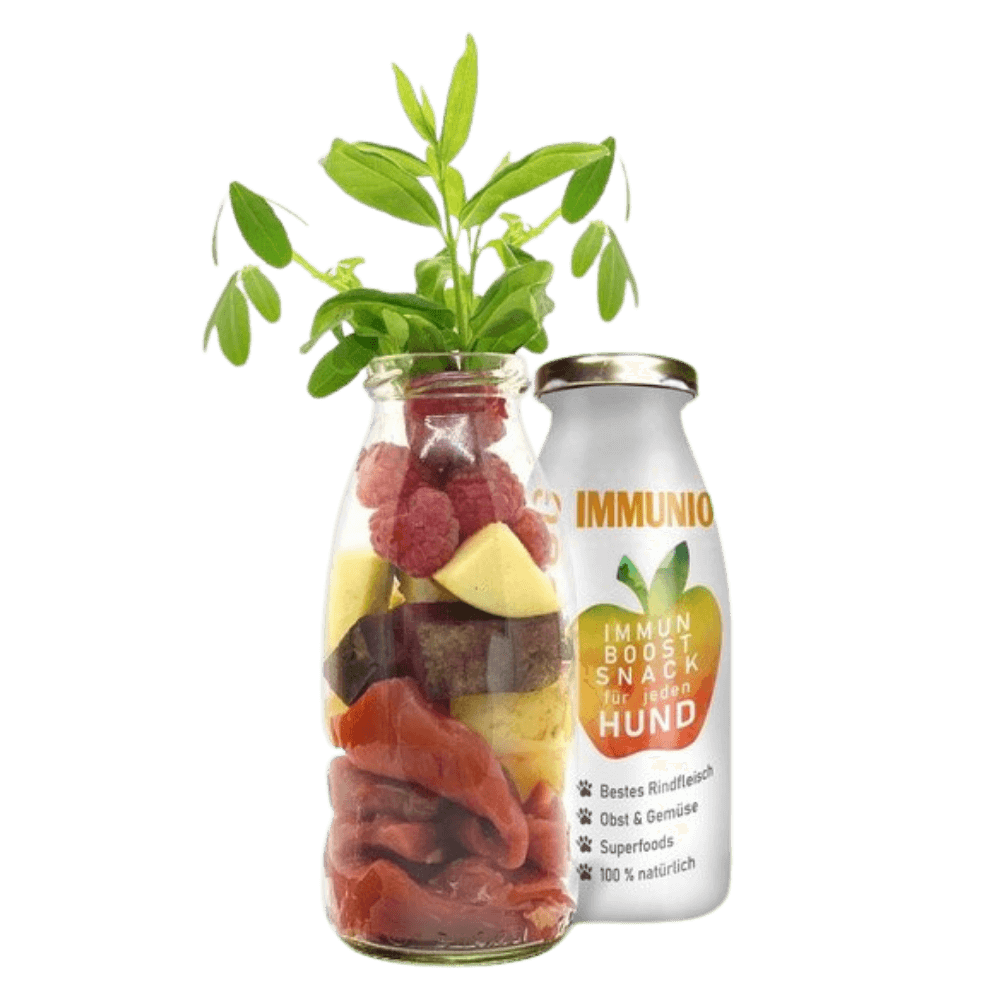 Immunerősítő smoothie kutyáknak (marhahússal) 250 ml, SmoothieDog