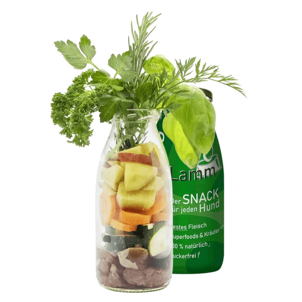 Bárányhús smoothie menü kutyáknak 250 ml, SmoothieDog