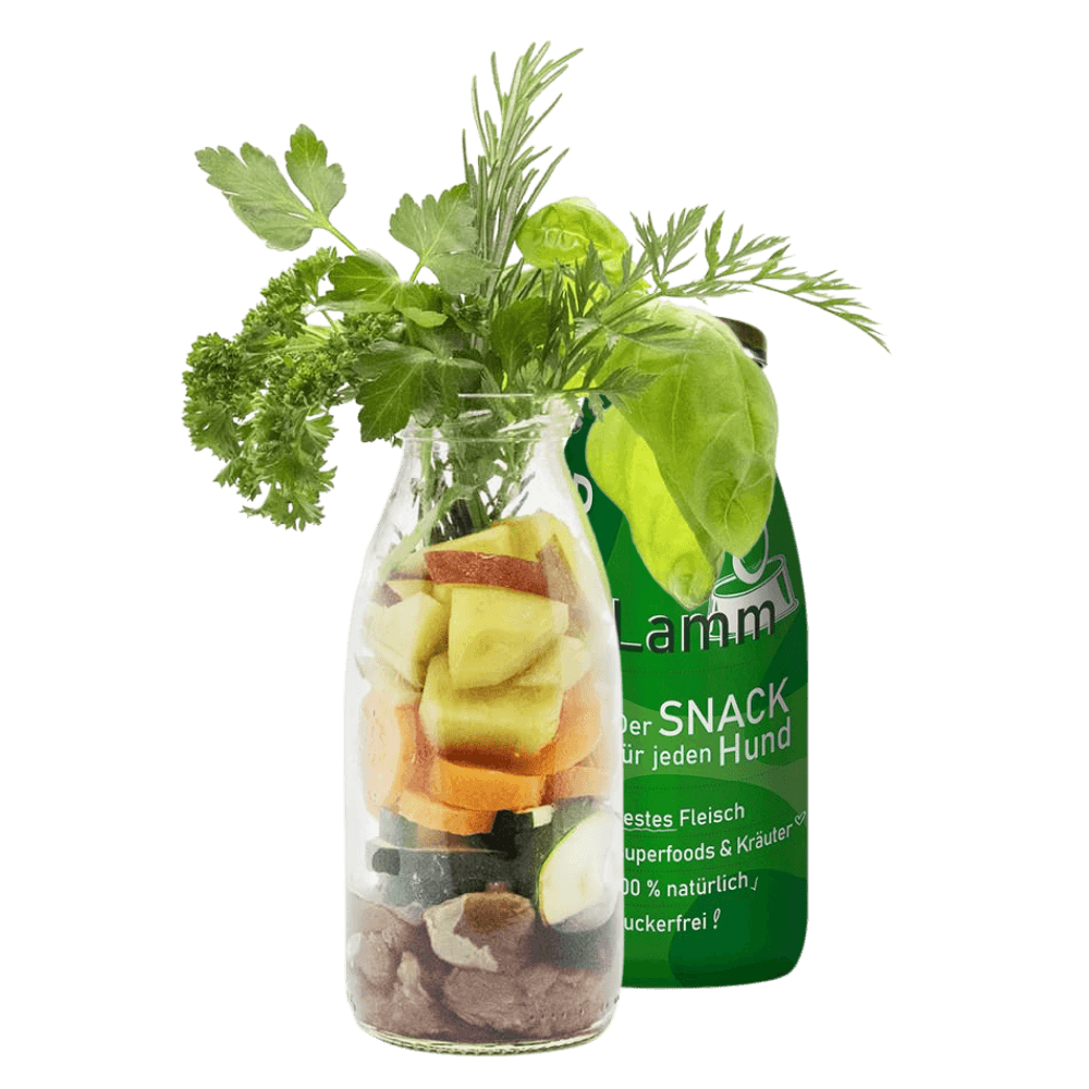 Bárányhús smoothie menü kutyáknak 250 ml, SmoothieDog