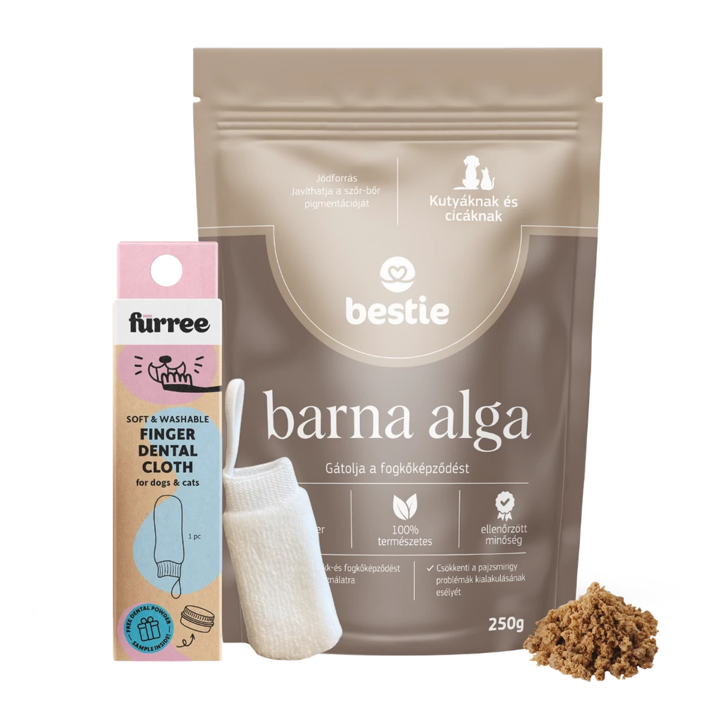 Fogápolási csomag nagy