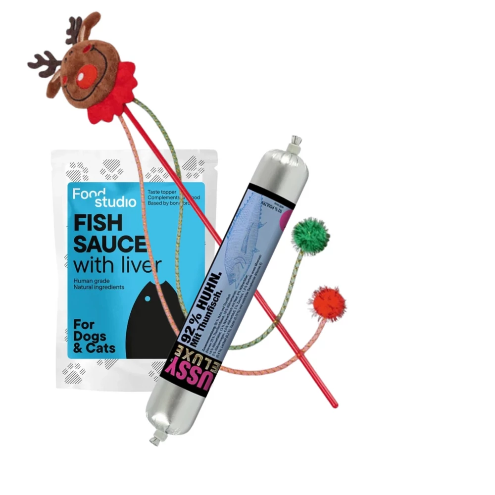 Csomag cicáknak Csomag cicáknak