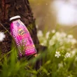 Kép 5/5 - Nyúlhús smoothie menü kutyáknak, Summer Edition