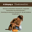 Kép 4/5 - Bárány nyúllal és répával sensitive párolt menü kutyáknak, 12x400g, Bestie