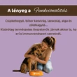 Kép 4/5 - Kacsa cukkínivel és körtével immunrendszer támogató párolt menü kutyáknak, 12x400g, Bestie