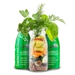 Kép 2/3 - Bárányhús smoothie menü kutyáknak 250 ml, SmoothieDog