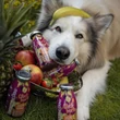 Kép 3/3 - Gyümölcsös smoothie kutyáknak, 250ml, SmoothieDog