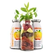 Kép 2/3 - Immunerősítő smoothie kutyáknak (marhahússal) 250 ml, SmoothieDog