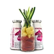 Kép 2/5 - Lóhús smoothie allergiás kutyáknak 250 ml, SmoothieDog