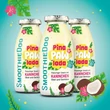 Kép 2/3 - Nyúlhús smoothie menü kutyáknak 250 ml, Summer Edition,  SmoothieDog