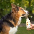 Kép 3/3 - Nyúlhús smoothie menü kutyáknak 250 ml, Summer Edition,  SmoothieDog