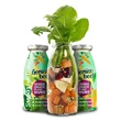 Kép 2/5 - Zöldség smoothie kutyáknak 250 ml, SmoothieDog
