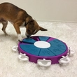 Kép 2/2 - Dog Twister interaktív csemege kirakós kutyajáték, 3-as szint, Nina Ottosson