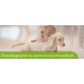Kölyökkutyáknak Kölyökkutyáknak