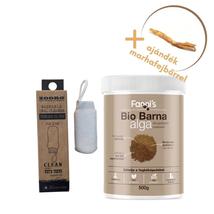 Fogápolási csomag BIG