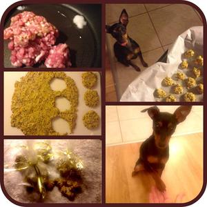 jutalomfalat házilag kutyáknak