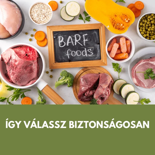Fagyasztott hús kutyáknak: hogyan válassz biztonságosan és mit jelent a minőség valójában?