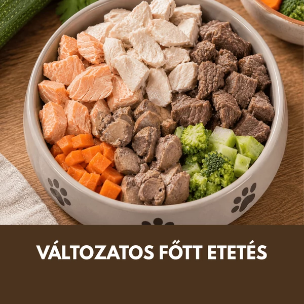 Főtt etetés kutyáknál: hogyan rotáld az alapanyagokat, hogy ne alakuljon ki hiány?