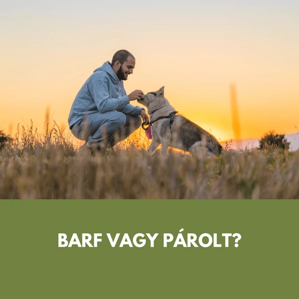 Párolt menü kutyáknak: mely kutyáknál működik igazán jól, és mikor jobb választás BARF helyett?