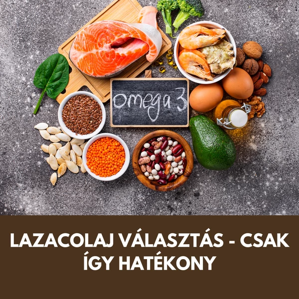 4 tipp a kutyadietetikustól, hogyan tudsz minőségi lazacolajat választani