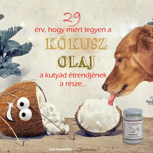 29 érv, hogy miért legyen a kókuszolaj a kutyád étrendjének a része