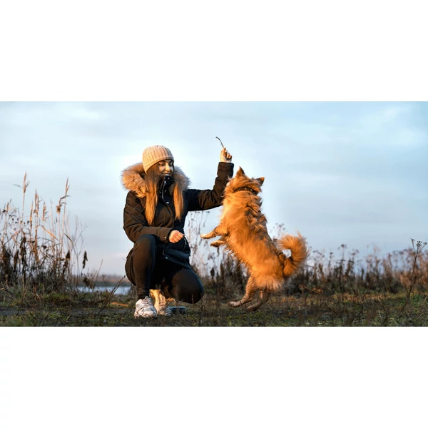 Ízületvédő kutyáknak BARF mellett - mikor kezdj el gondolkodni rajta, és mit válassz?