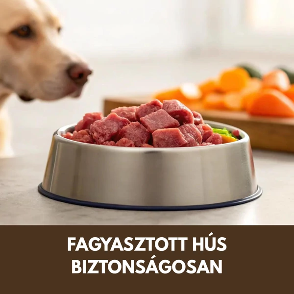 Fagyasztott hús kutyáknak: hogyan tárold, adagold és olvaszd ki biztonságosan?