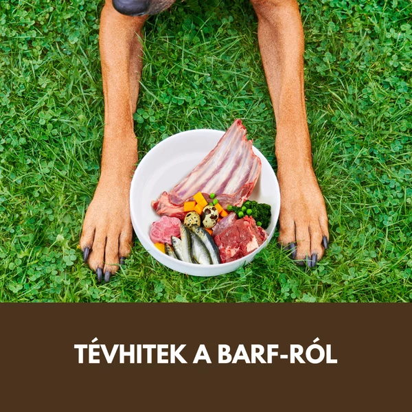 Tények, mítoszok és tévhitek a nyersetetésről