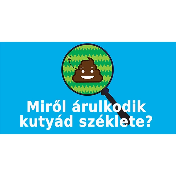 Szar ügy – mit mond el a kutyád széklete?