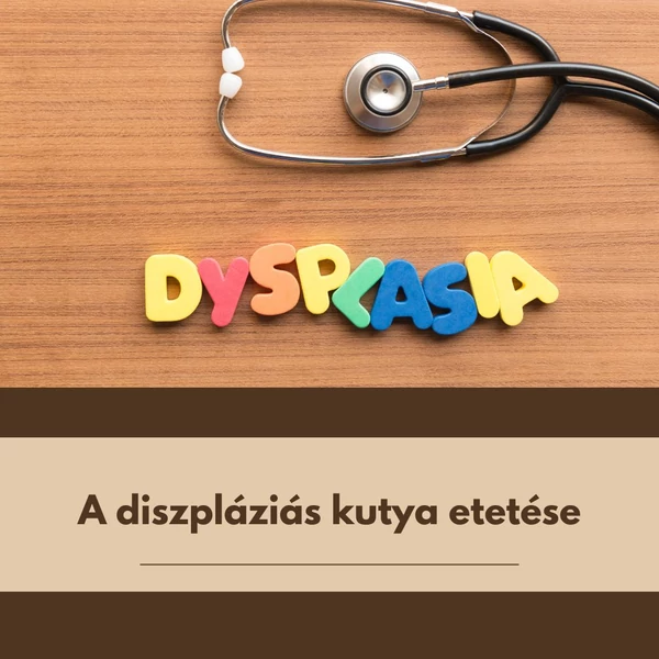 Így változtass kutyád étendjén, ha diszpláziás