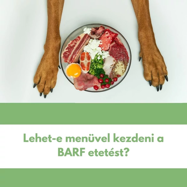 Lehet-e menüvel kezdeni a BARF etetést?