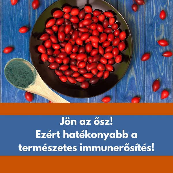 Jön az ősz! Ezért hatékonyabb a természetes immunerősítés!