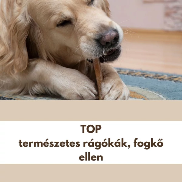 A TOP természetes rágókák fogkő ellen