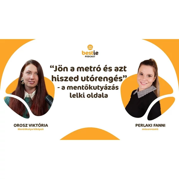 S01E01 - Jön a metró és azt hiszed utórengés" - a mentőkutyázás lelki oldala.