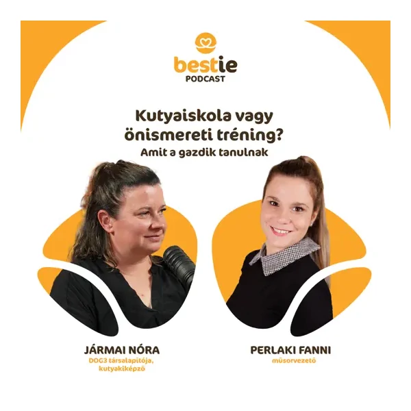 S01E04 - Kutyaiskola vagy önismereti tréning? – Amit a gazdik tanulnak