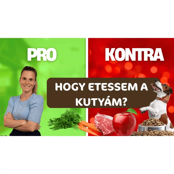 Így etesd a kutyád: pro és kontra lista kutyaétrendekhez
