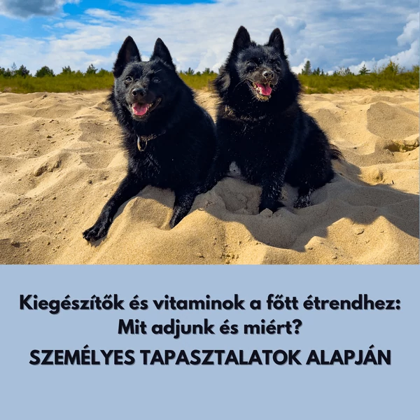 Kiegészítők és vitaminok a főtt étrendhez: Mit adjunk és miért?