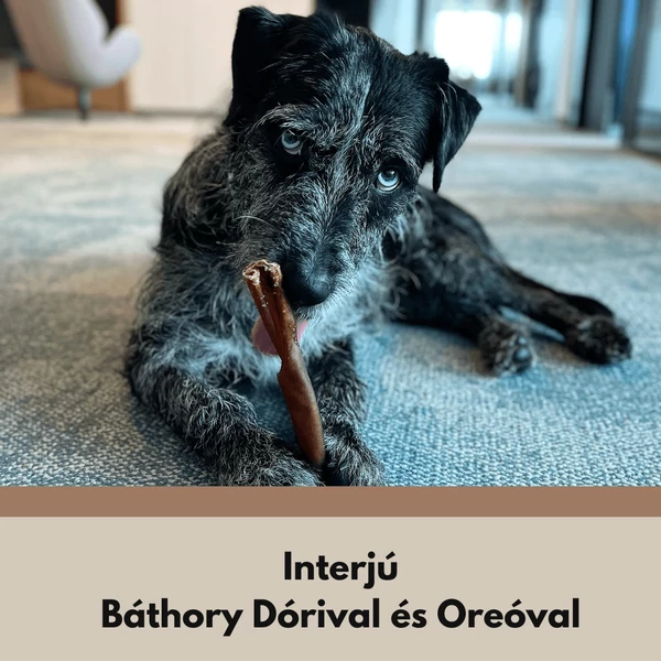 Interjú Báthory Dórival és Oreoval