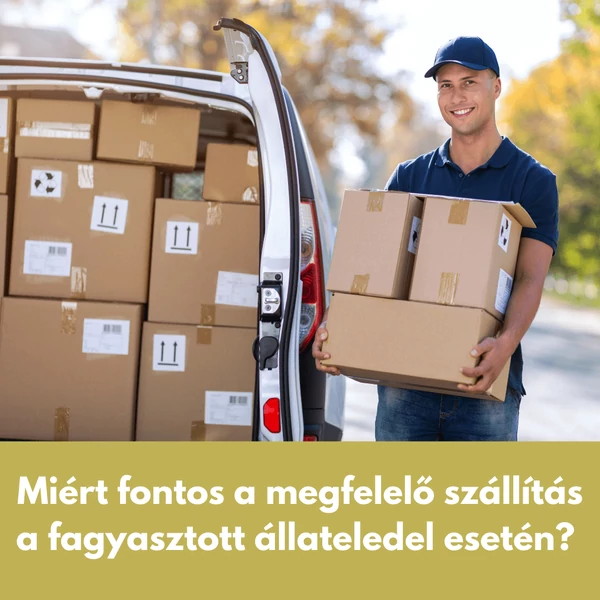 Miért fontos a megfelelő szállítás a fagyasztott állateledel esetén? 