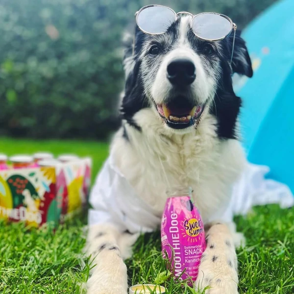 Nyúlhús smoothie menü kutyáknak, Summer Edition