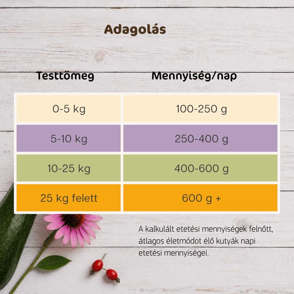 Kacsa cukkínivel és körtével immunrendszer támogató párolt menü kutyáknak, 12x400g, Bestie
