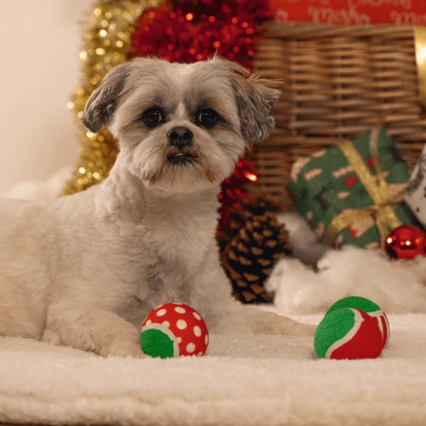 Karácsonyi Teniszlabdák, 3DB, BZ