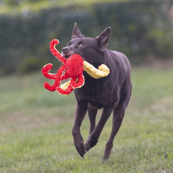 Polip Plüss, Piros, BZ